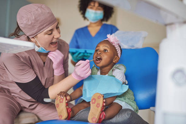 Professional  Holistic Dental Services in Keystone, FL